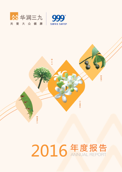 尊龙时凯：2016年年度报告